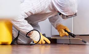 Best Real Estate Pest Inspections  in Wheeling, IL